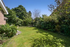 Rear Garden- click for photo gallery